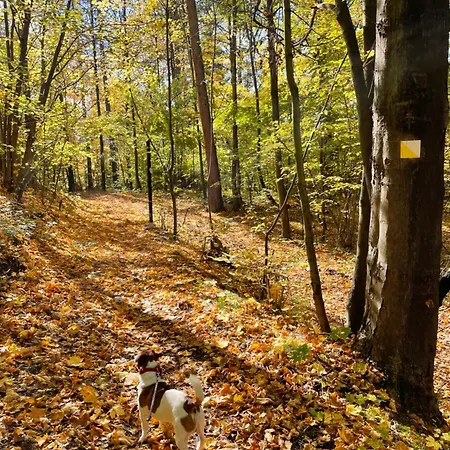 Happy Moments - Widokowy Jelenia Góra