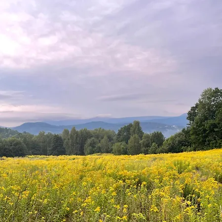 Happy Moments - Widokowy Jelenia Gora