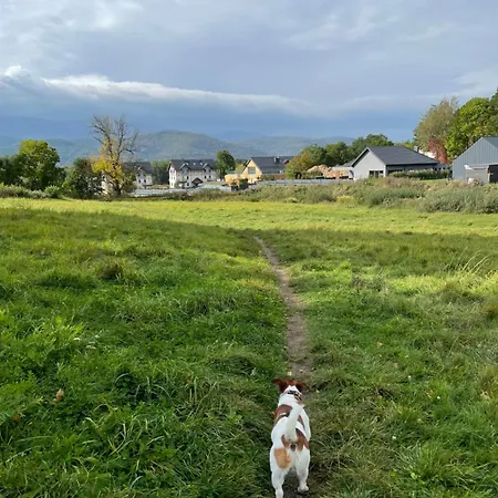 Happy Moments - Widokowy