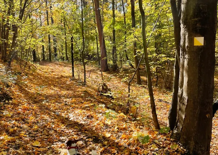 Happy Moments - Widokowy Еленя-Гура