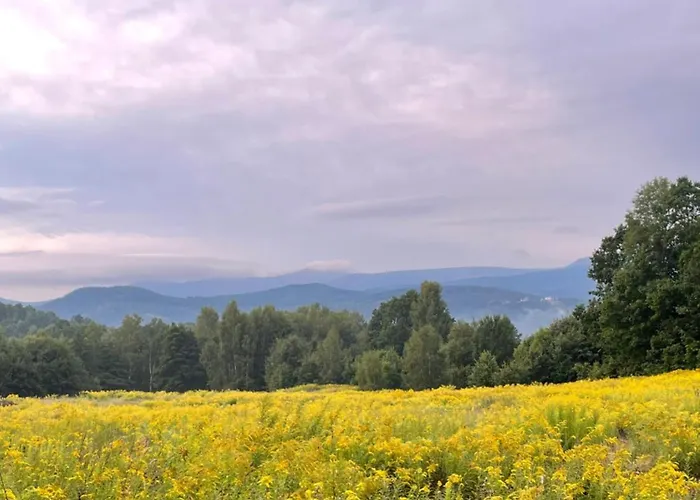 Happy Moments - Widokowy Jelenia Góra
