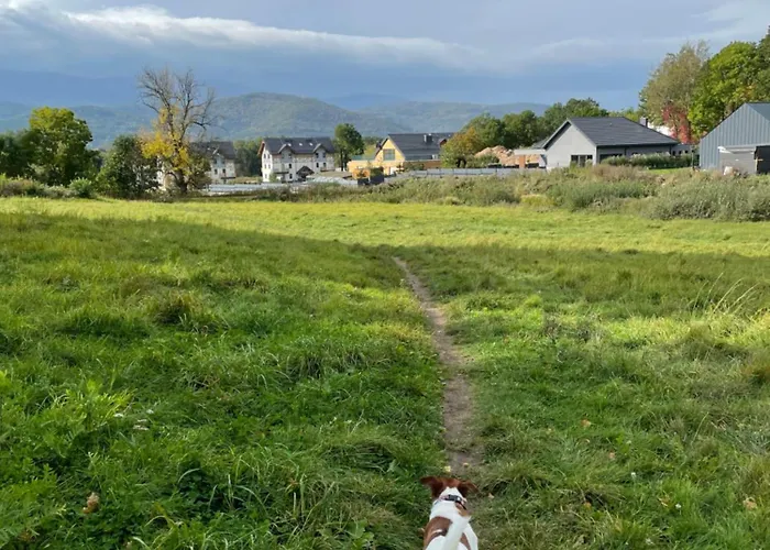 Happy Moments - Widokowy